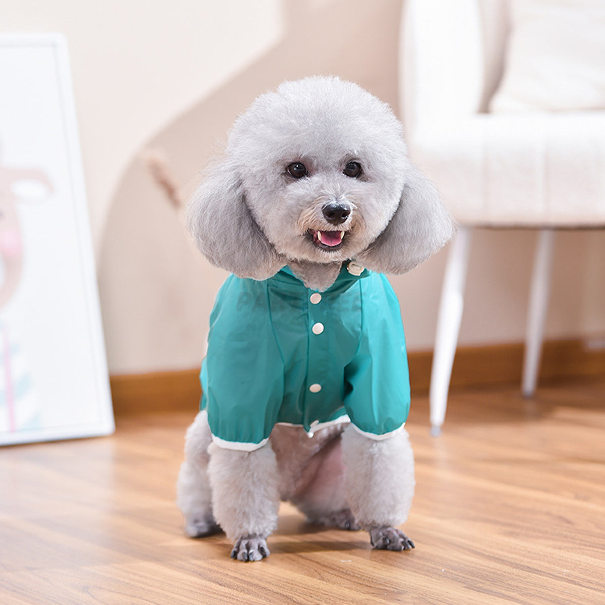 Easy Wear Dog Waterproof Raincoat