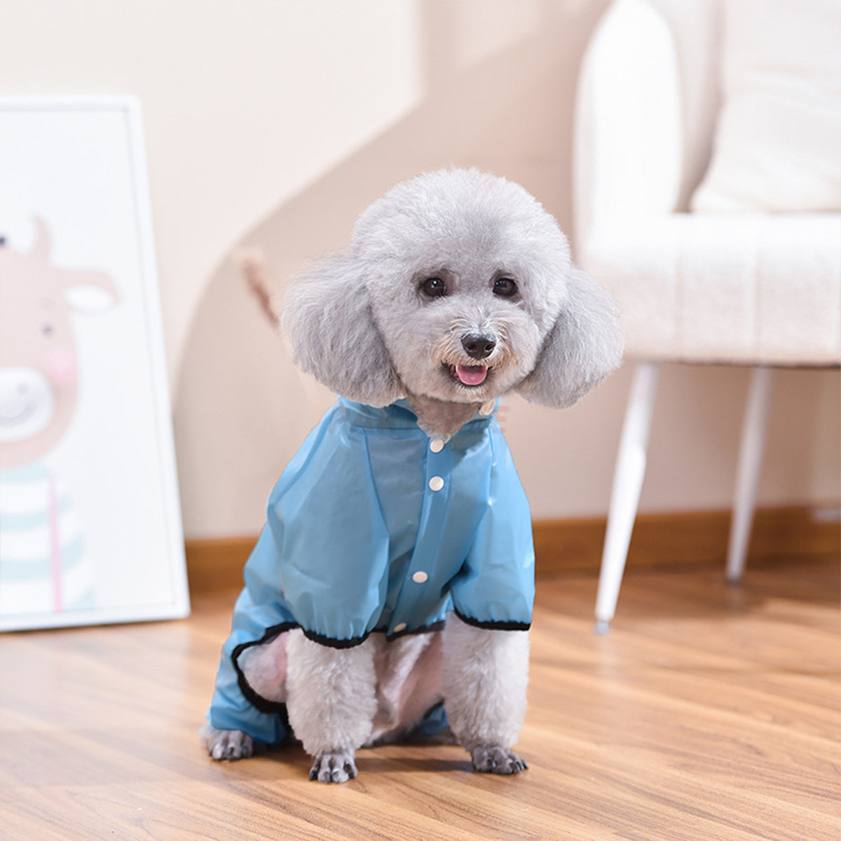 Lightweight Dog Raincoat All Season Waterproof Pet Apparel